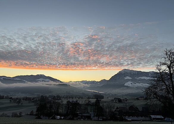 Trittst im Morgengold daher, Seh'ich dich im Strahlenmeer,