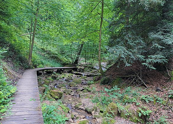 7-Brüggliweg. Der Dünkelbach ist fast trocken