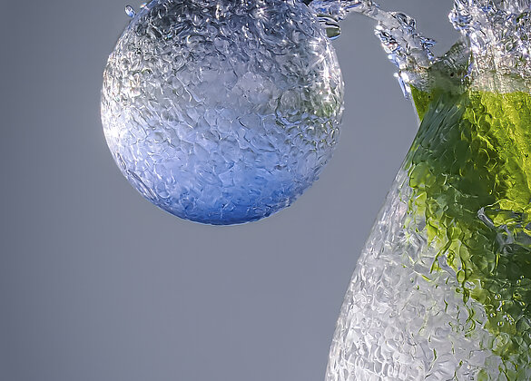 Tautropfen gefrieren in frostigen Nächten zu Kunstwerken