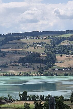 Baldeggersee in türkis
