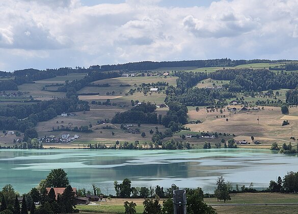 Baldeggersee in türkis