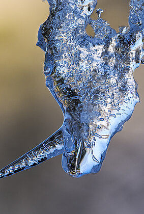 Einhorn? Nashorn? Eisige Skulpturen entstehen und schmelzen.