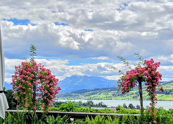 Beim Rosengarten Heidegg