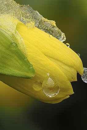 Winter trifft auf Frühling