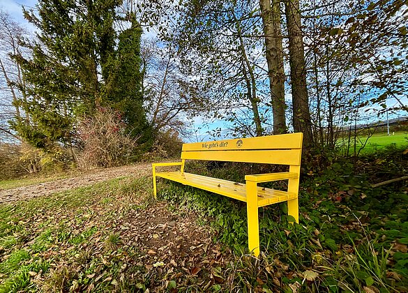 Ein "Wie geht's dir?"-Bänkli im Seetaler Herbstlicht