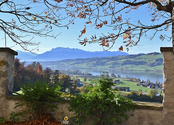 Das Seetal im Herbstlicht.