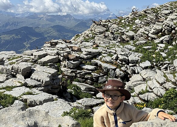 Staunen bei Antonio aus Aesch, Gruppe mit 45 Steinböcken