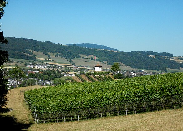 Sommer beim Cheiserspon.