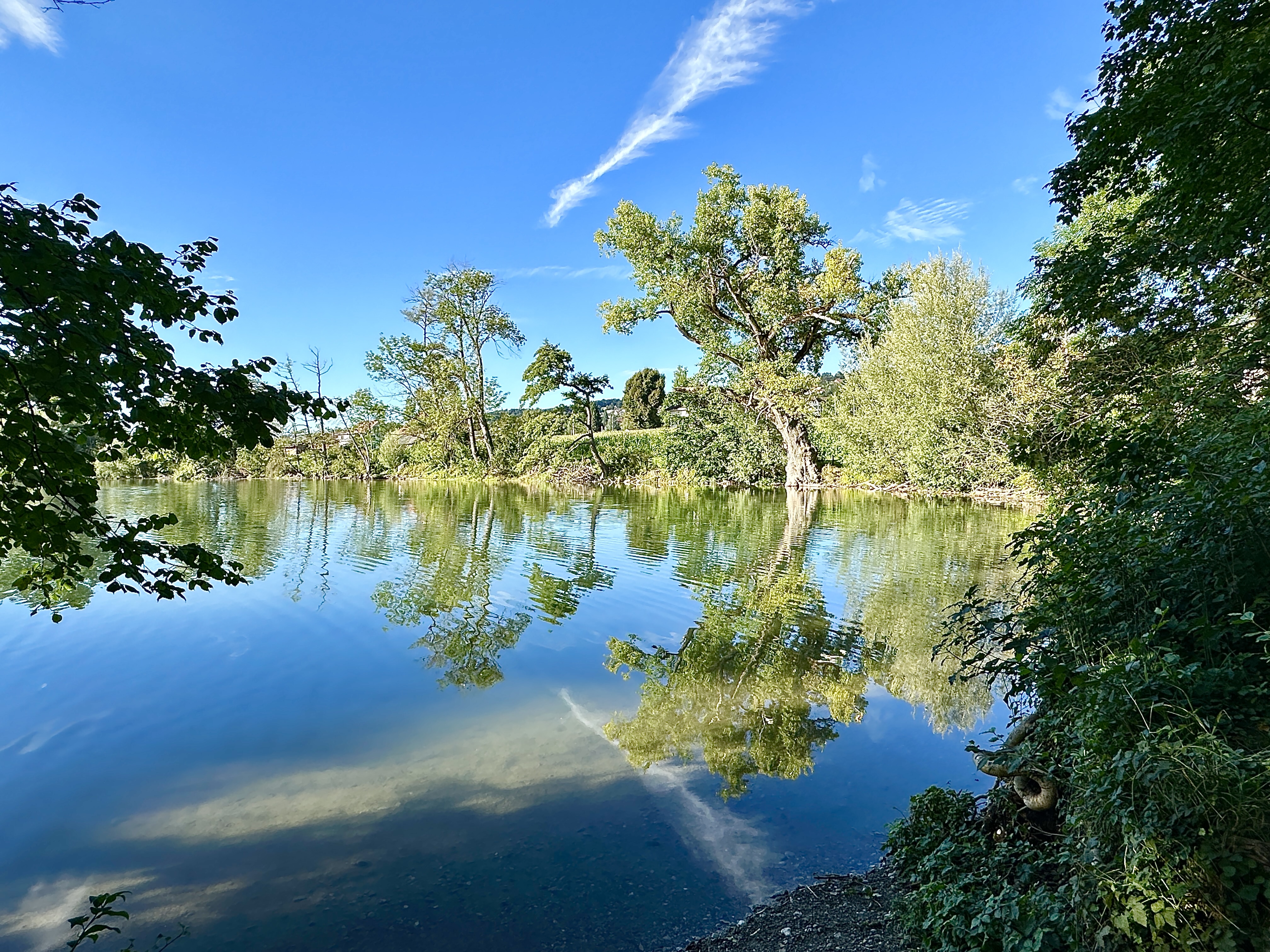 Wunderschöne Spiegelung