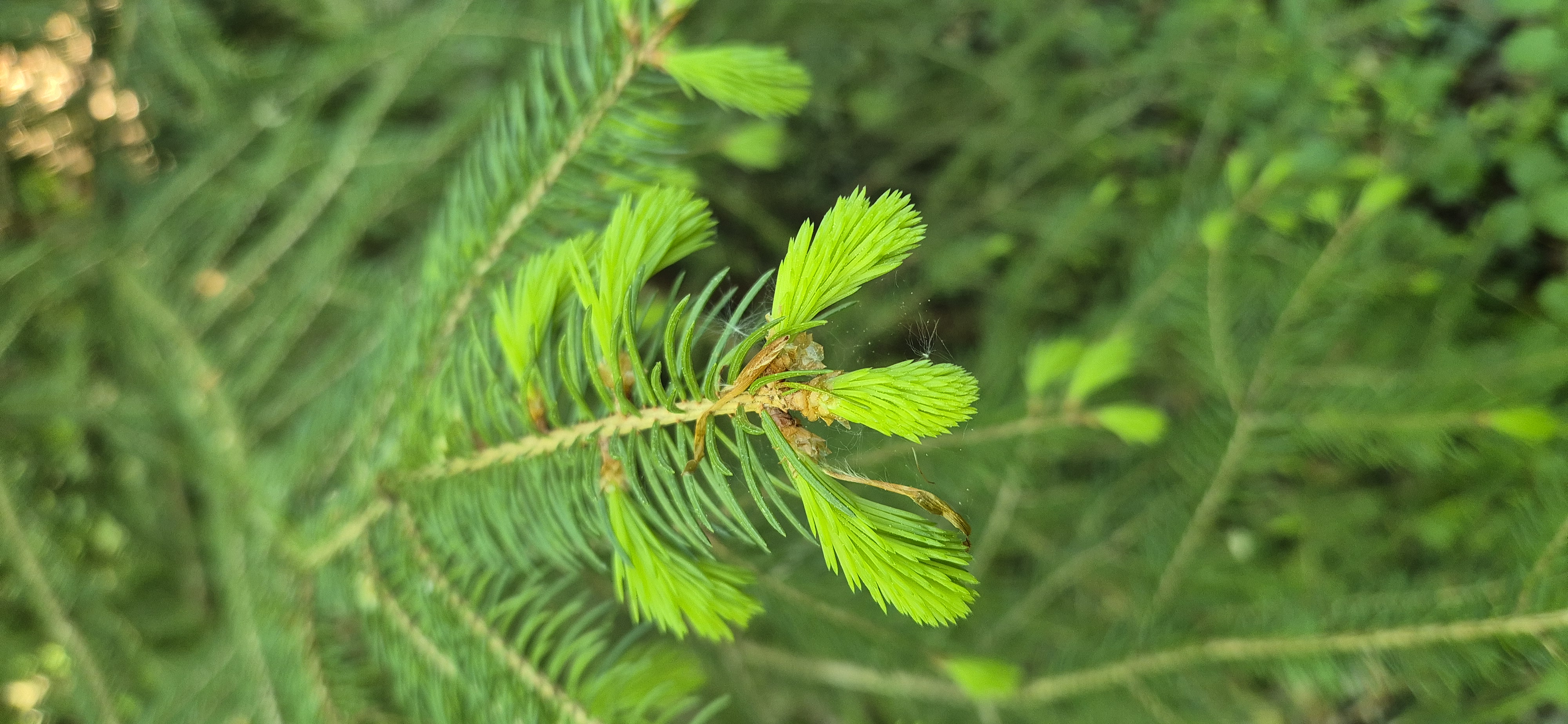 Die schönen Seiten des Frühlings