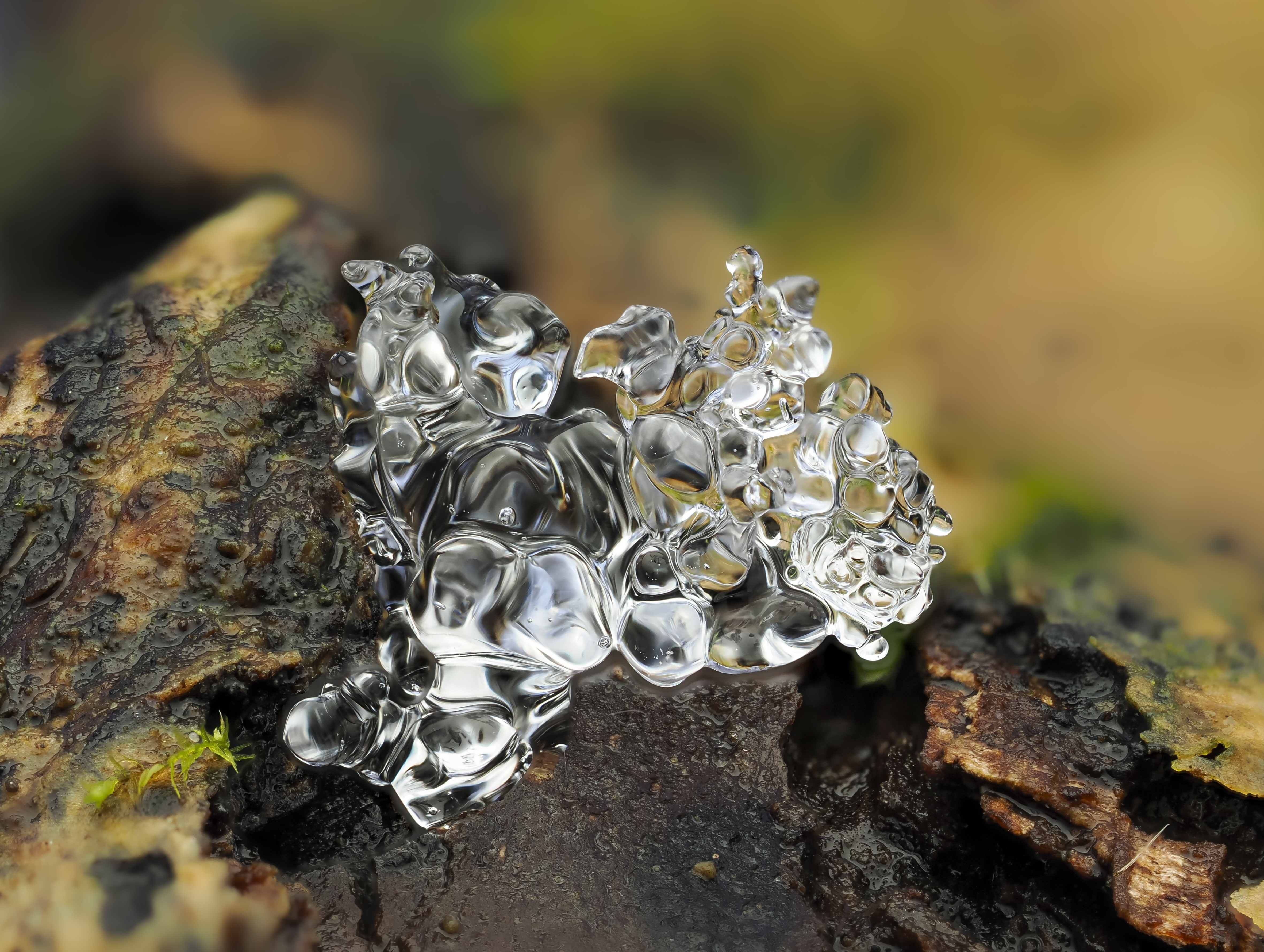 Was vom Winter übrigbleibt