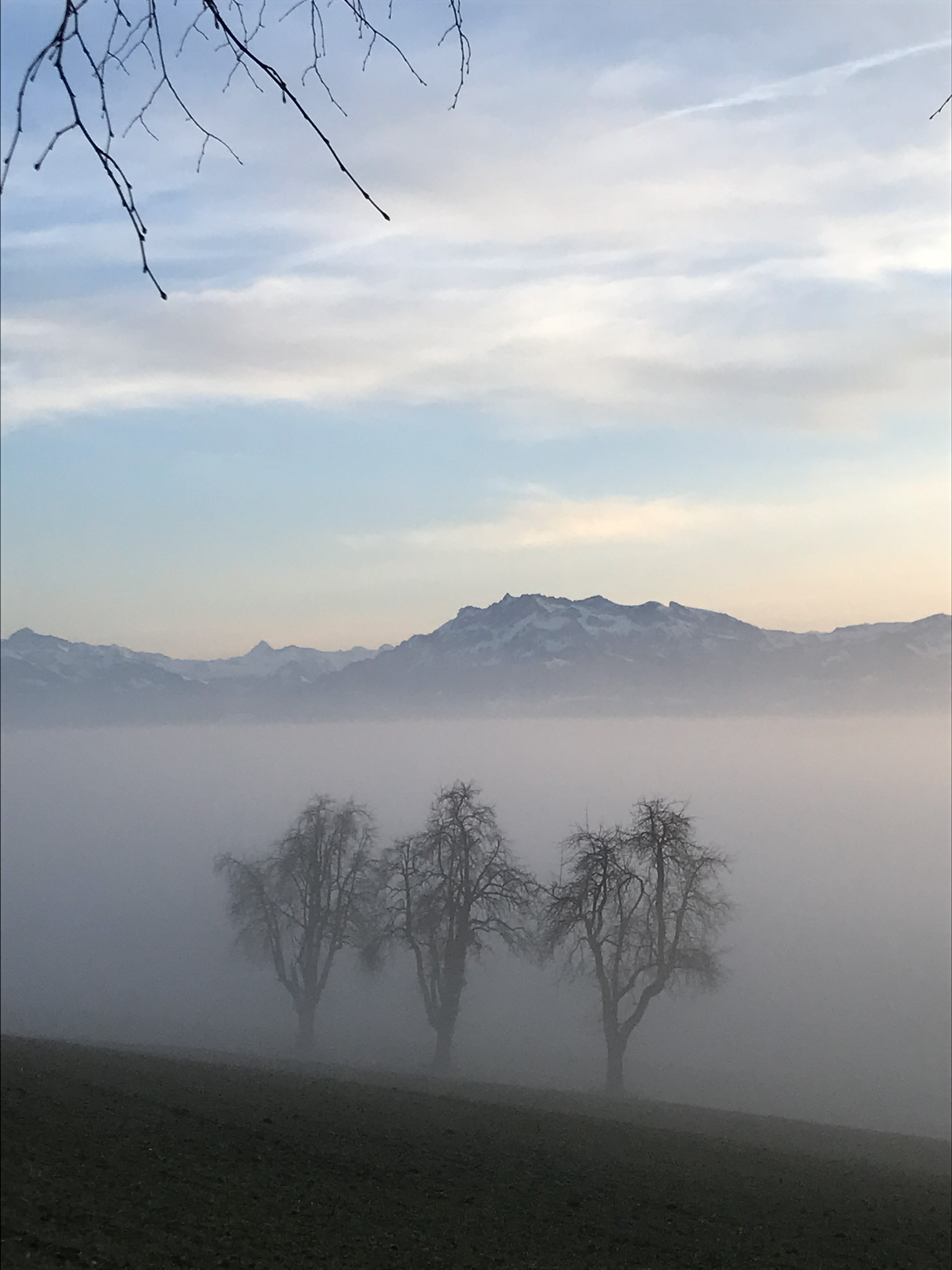 Abendstimmung mit Nebelmeer