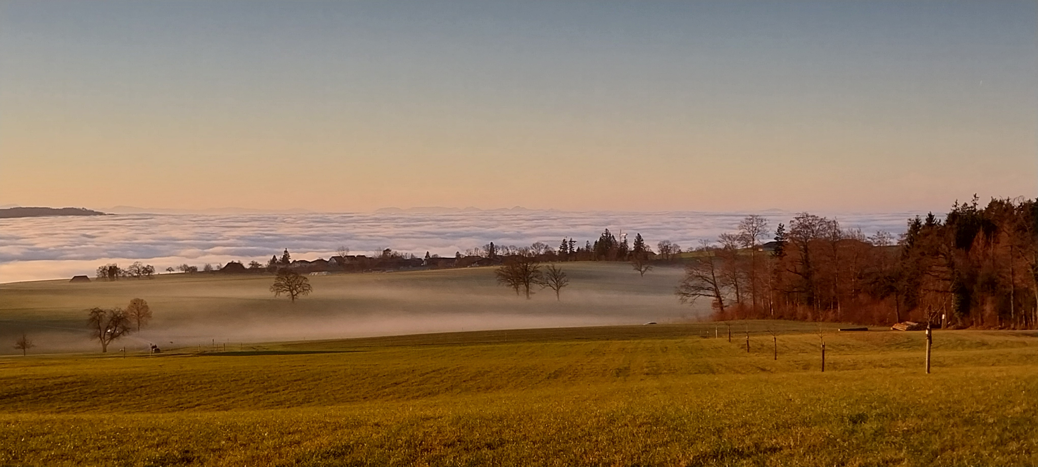 Seichter Nebel auf den Matten oberhalb des Nebelmeers