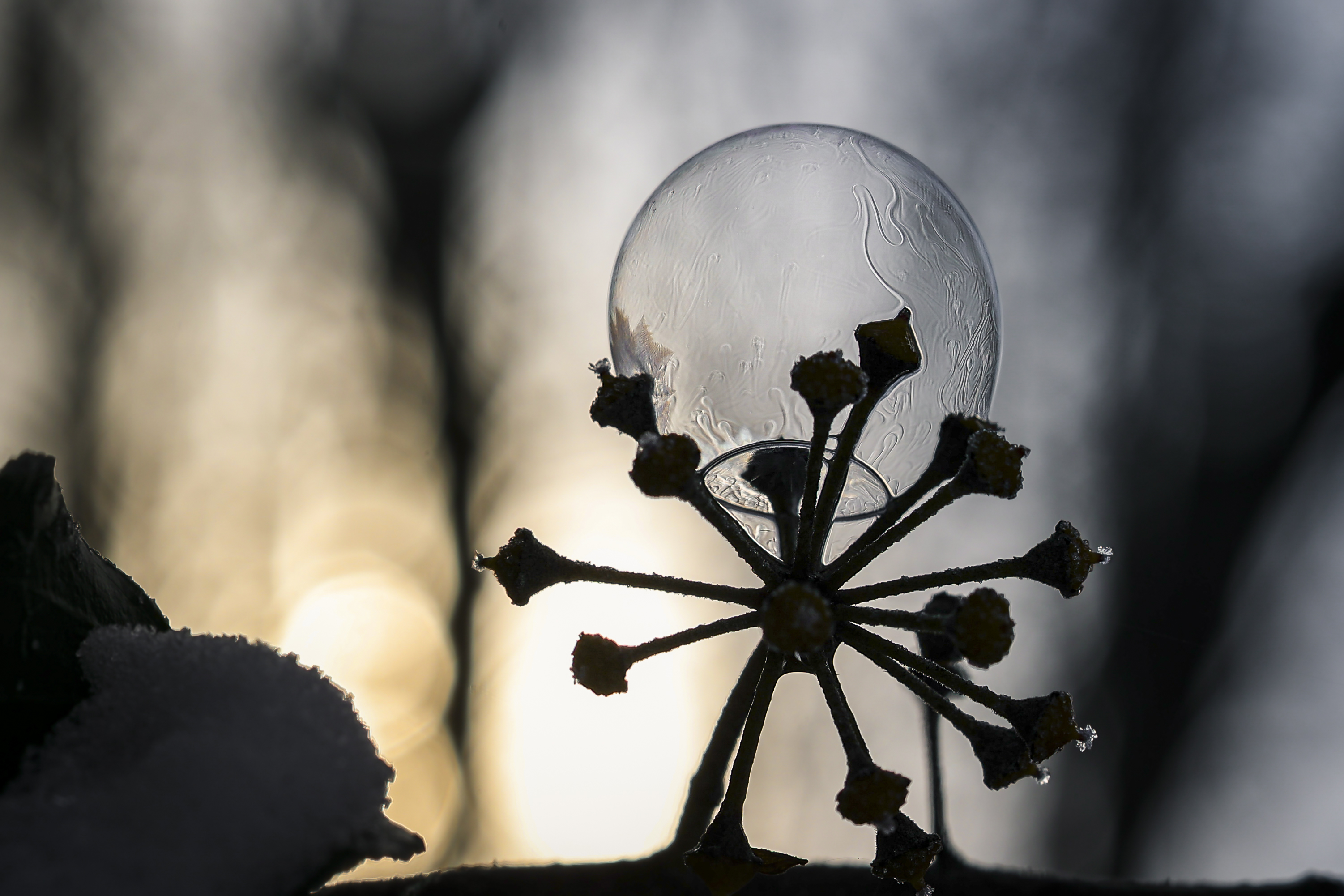 Der Moment, bevor die Seifenblase in der Kälte gefriert.