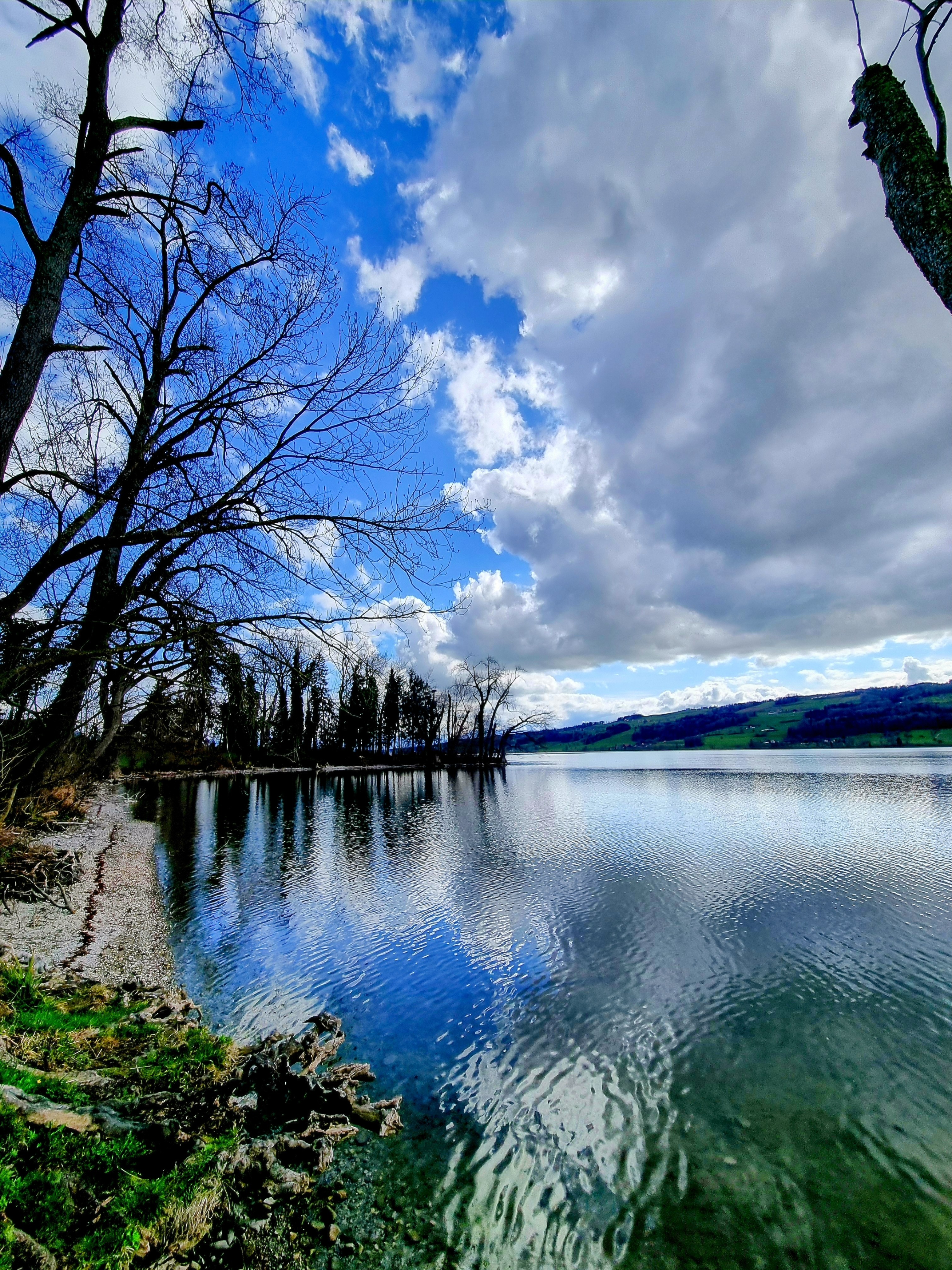 Gelfingen am Baldeggersee - Seetaler Bote